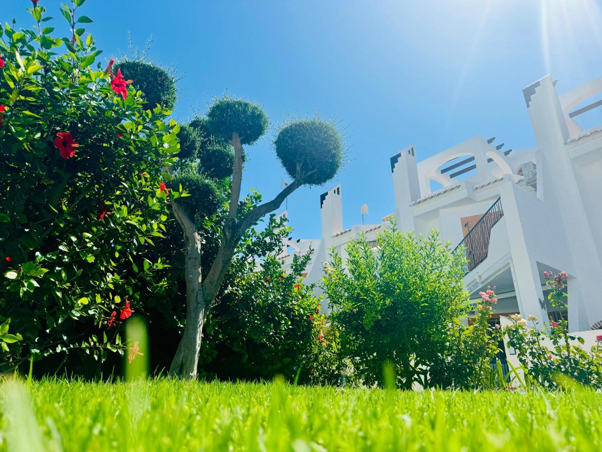 Contemporary House In Cabo Roig Villa Орихуела Екстериор снимка